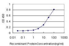 Monoclonal Mouse anti-Human NKIRAS2 Antibody (clone 2G9, IHC, WB)