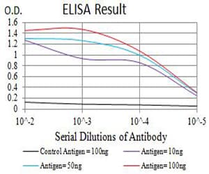 Monoclonal Mouse anti-Human GRM5 / MGLUR5 Antibody (clone 1A11D10, IHC, WB)