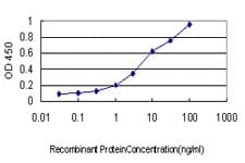 CX3CL1 / Fractalkine Antibody (clone 1D6)