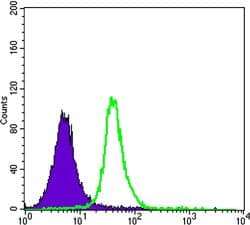 SMAD5 Antibody (clone 3H9)