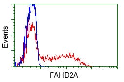 FAHD2A Antibody (clone OTI5D5, Carrier-free)