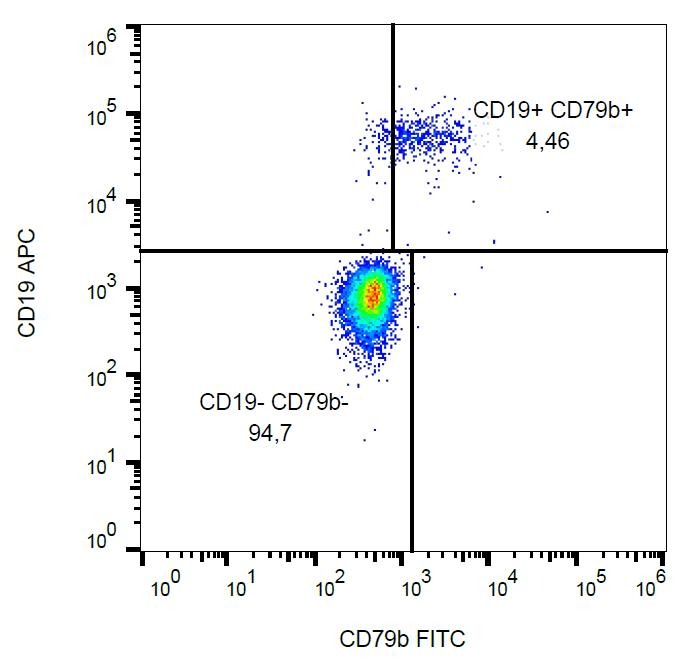 Monoclonal Mouse anti-Human CD79B / CD79 Beta Antibody (clone CB3-1, FITC, WB)