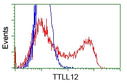 KIAA0153 / TTLL12 Antibody (clone OTI12B7, Carrier-free)
