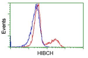 HIBCH Antibody (clone OTI3F6)