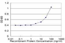 FAH Antibody (clone 3G2)