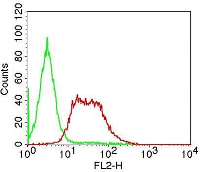 NFKBIA / IKB Alpha / IKBA Antibody