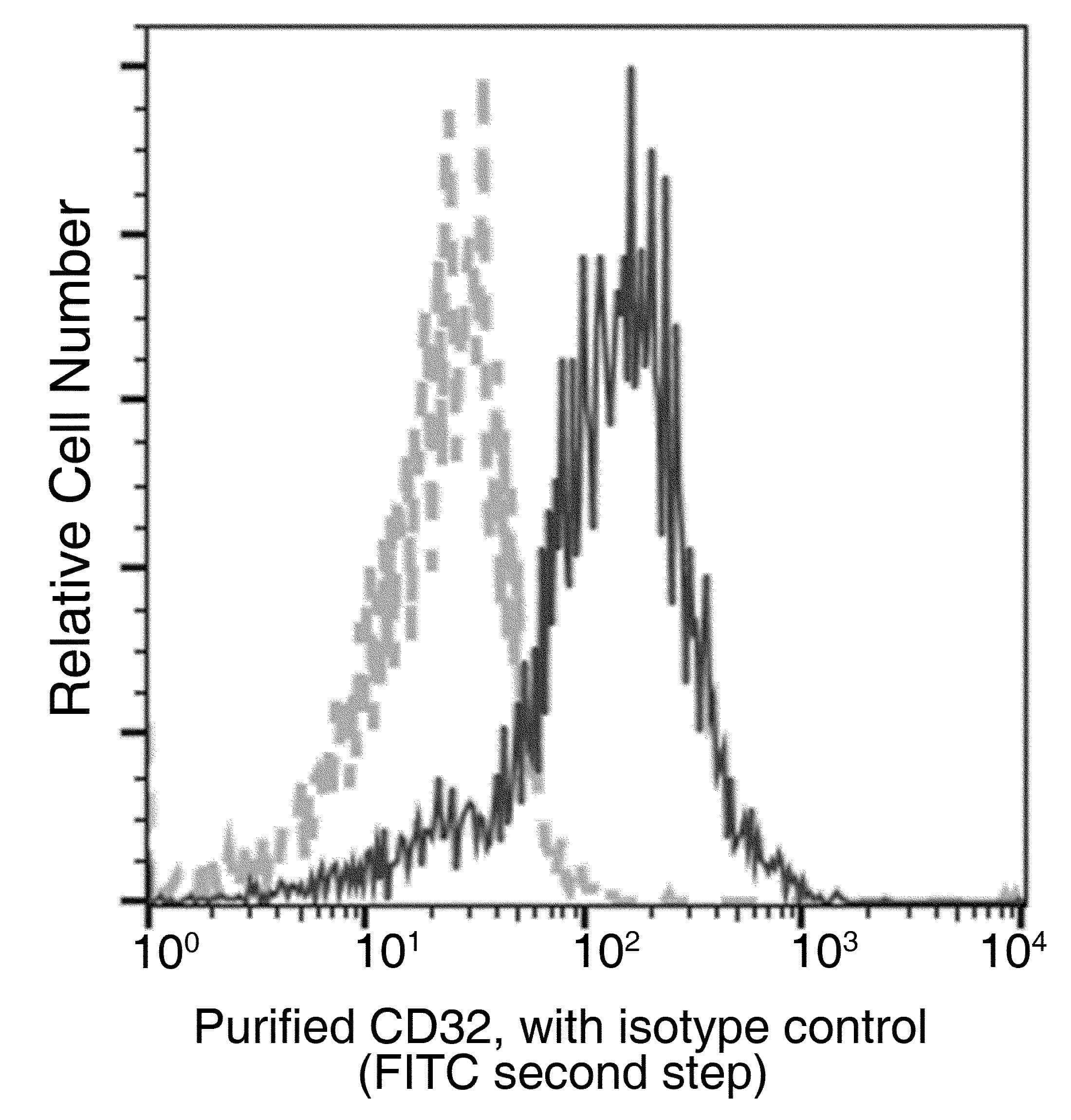 Monoclonal Mouse anti-Crab-eating macaque CD32B Antibody (clone 12, Preservative Free)