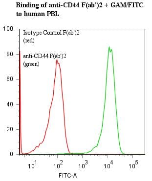 CD44 Antibody (clone BU52, Fab'2)