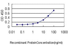 Monoclonal Mouse anti-Human ISGF3 / IRF9 Antibody (clone 1D11, WB)