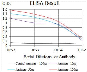 DCTN4 / Dynactin 4 Antibody (aa57-298, clone 3G9D7)