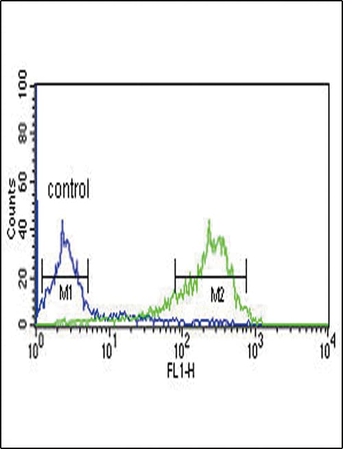 Polyclonal Rabbit anti-Human HAPLN1 Antibody (aa10-38, IHC, WB)