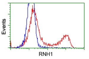 RNH1 Antibody (clone OTI3F11)