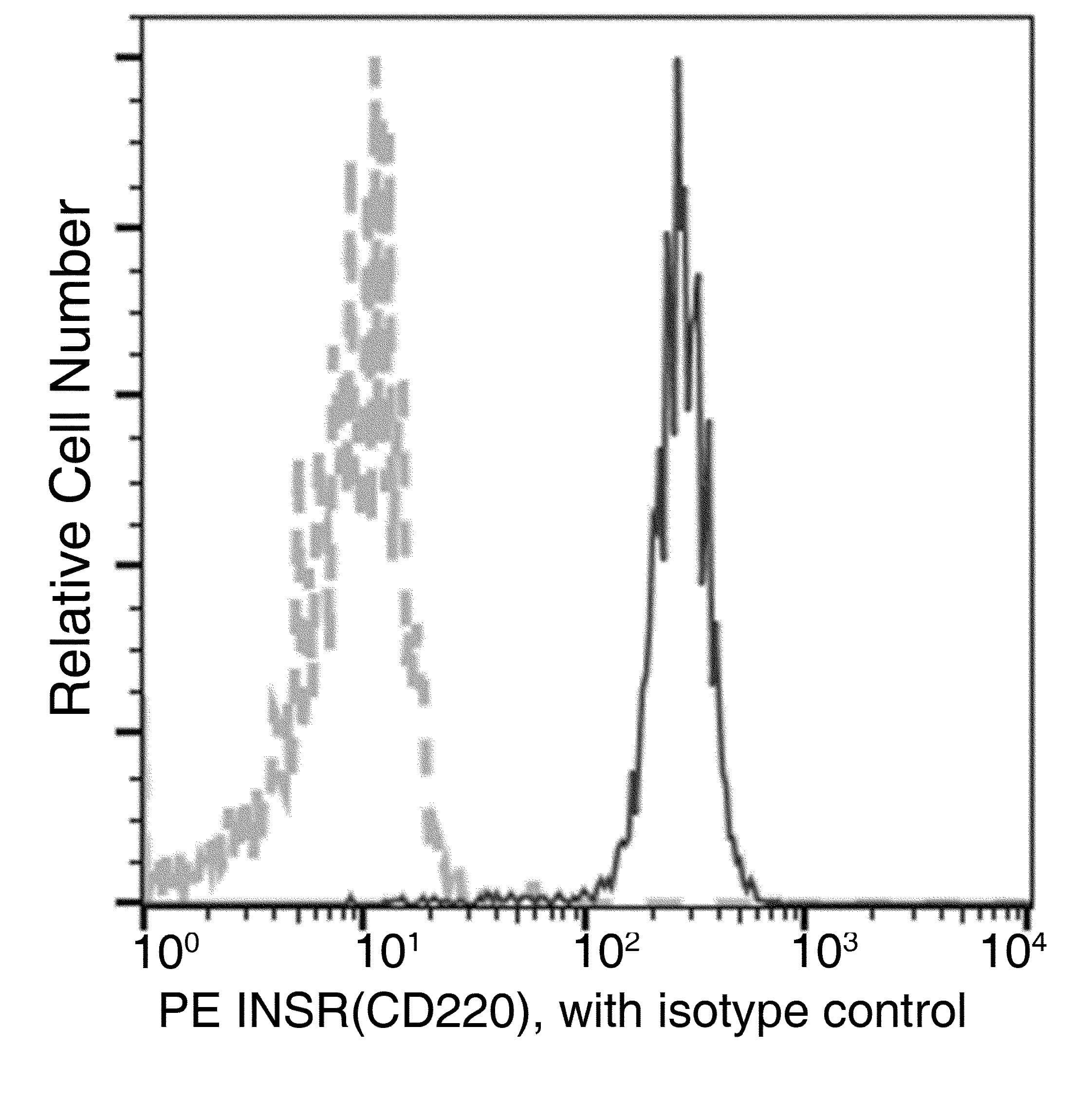 INSR / Insulin Receptor Antibody (clone 01, PE)