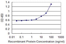 ANXA3 / Annexin A3 Antibody (clone 1E2)