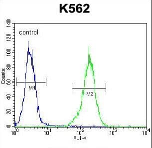 NKAIN1 Antibody (aa157-186)