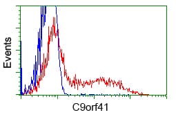 C9orf41 Antibody (clone OTI6E4)
