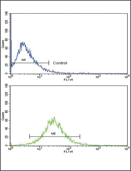 MMP3 Antibody (aa298-327)