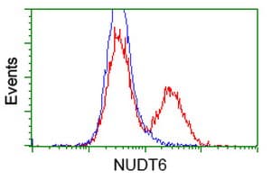 NUDT6 Antibody (clone OTI9F5)