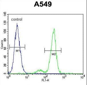 CEP164 Antibody (aa246-274)