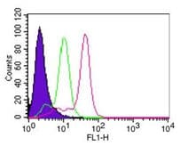 CASP8 / Caspase 8 Antibody (aa217-222, clone 90A992)