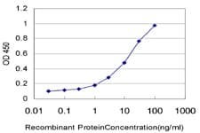 GMPPB Antibody (clone 2B5)
