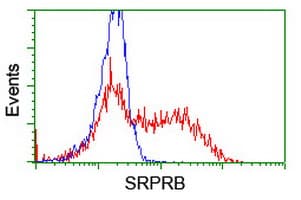 SRPRB Antibody (clone OTI1D9)