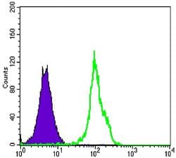 BLK Antibody (clone 1000000)
