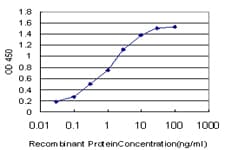 E2F1 Antibody (clone 2E10)