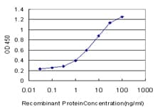 TIMM9 Antibody (clone 1D6)