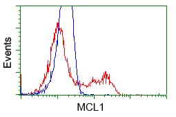 IHC-plus™ Monoclonal Mouse anti-Human MCL1 / MCL 1 Antibody (clone 2E11, IHC, IF, WB)