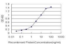 NKIRAS1 Antibody (clone 2A7)