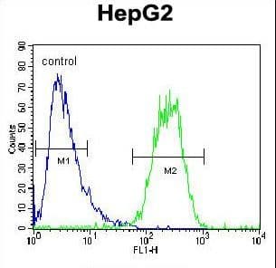 Polyclonal Rabbit anti-Human SEC13 Antibody (aa72-100, WB)