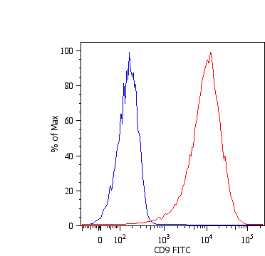 Monoclonal Mouse anti-Human CD9 Antibody (clone MEM-61, FITC, Extracellular Domain, IHC, WB)