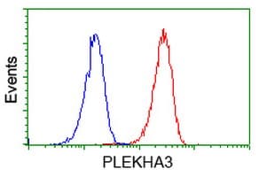PLEKHA3 Antibody (clone OTI2D1, Carrier-free)