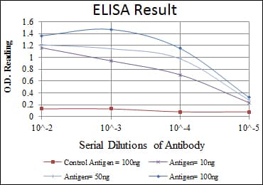 Monoclonal Mouse anti-Human MSX1 Antibody (clone 5D11, WB)