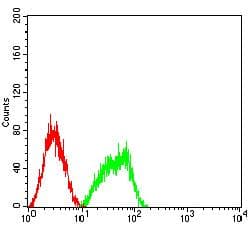 BCL10 / BCL-10 Antibody (clone 3C11F4)