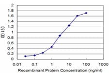 Monoclonal Mouse anti-Human ITGA6/Integrin Alpha 6/CD49f Antibody (clone 4C1, WB)