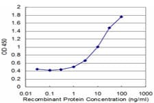 Monoclonal Mouse anti-Human CLLP / CTNNAL1 Antibody (clone 2C11)