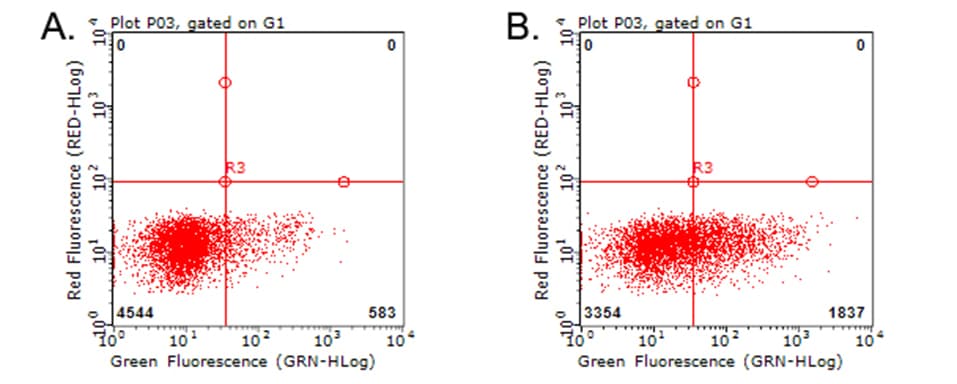 Monoclonal Mouse anti-Human TNFRSF9 / 4-1BB / CD137 Antibody (clone OTI7C3)