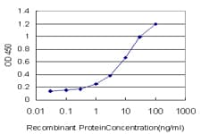 Monoclonal Mouse anti-Human ALK-6 / BMPR1B Antibody (clone 2F3, WB)