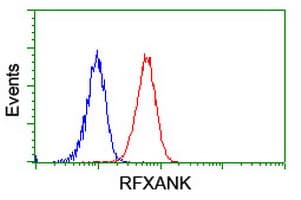 RFXANK Antibody (clone OTI3F5)