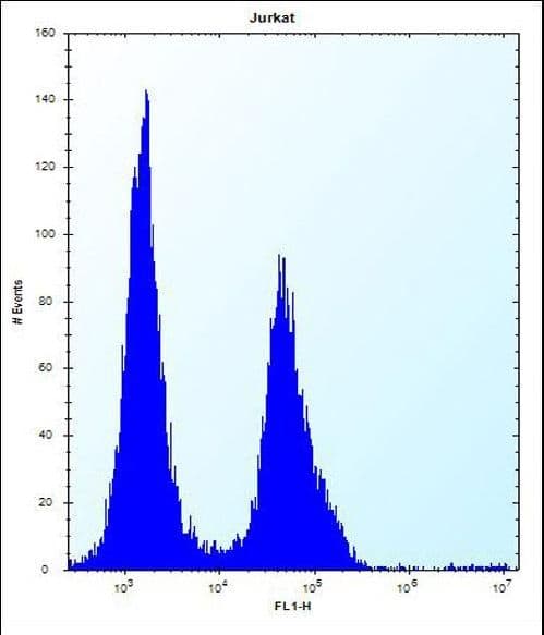 PODNL1 Antibody (aa167-195)