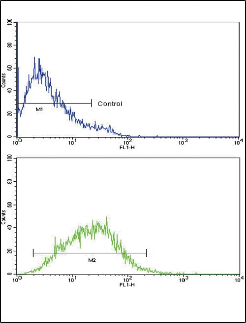 Polyclonal Rabbit anti-Human IL8 / Interleukin 8 Antibody (aa72-99, IHC, IF, WB)