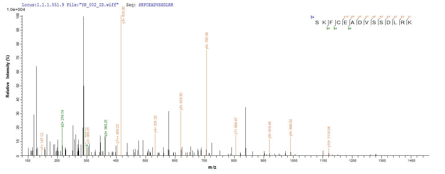 Human HPF1 Protein (Recombinant 10His-SUMO, N-terminus + Myc, C-terminus)