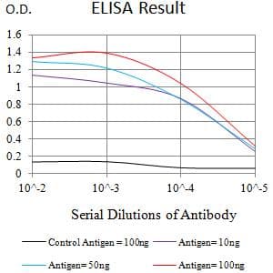 JAG1 / Jagged 1 Antibody (clone 7C7E1)