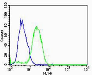 HBG2 / Hemoglobin Gamma 2 Antibody (aa101-133)