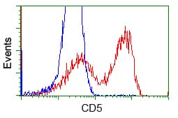 CD5 Antibody (clone OTI4H3)