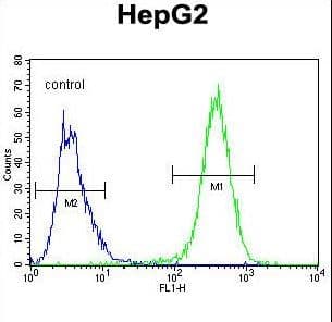 UBFD1 Antibody (aa1-30)