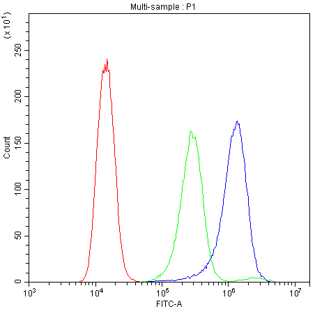 ATG14 Antibody (aa70-101)