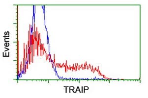 TRAIP / TRIP Antibody (clone OTI1G9)